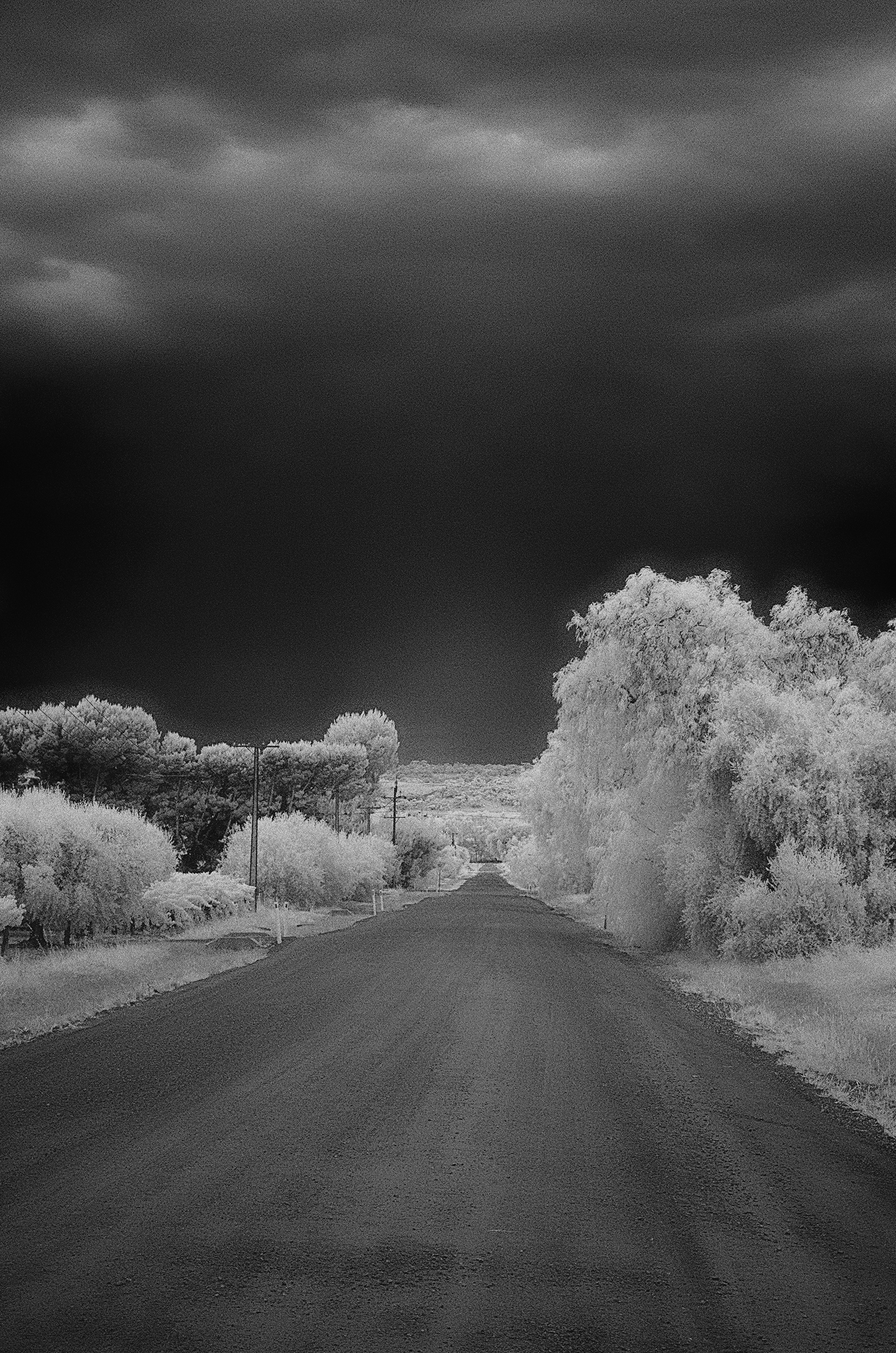 Gordon Road, Evanston nr Gawler, South Australia. Infrared.