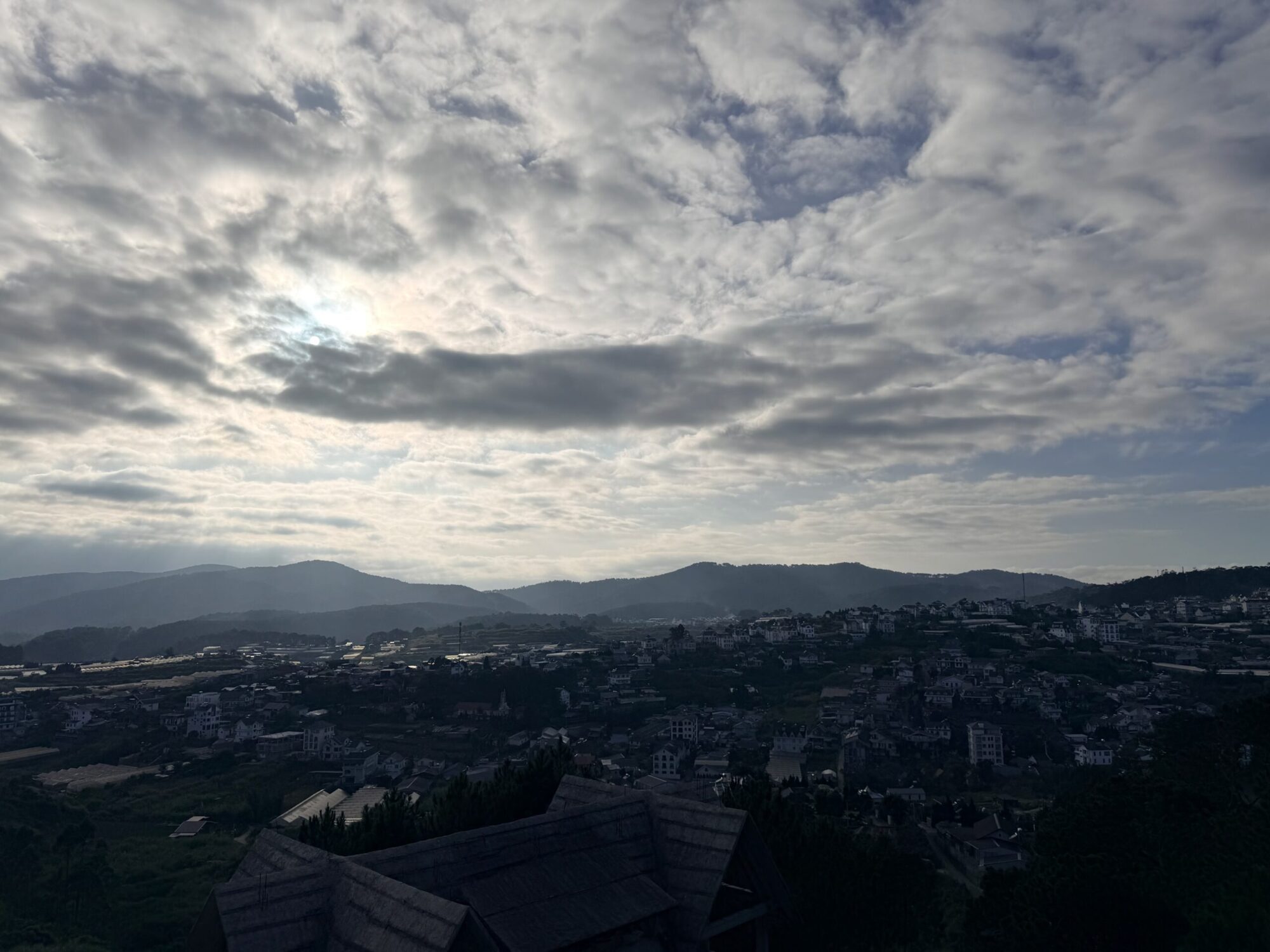 daily-175