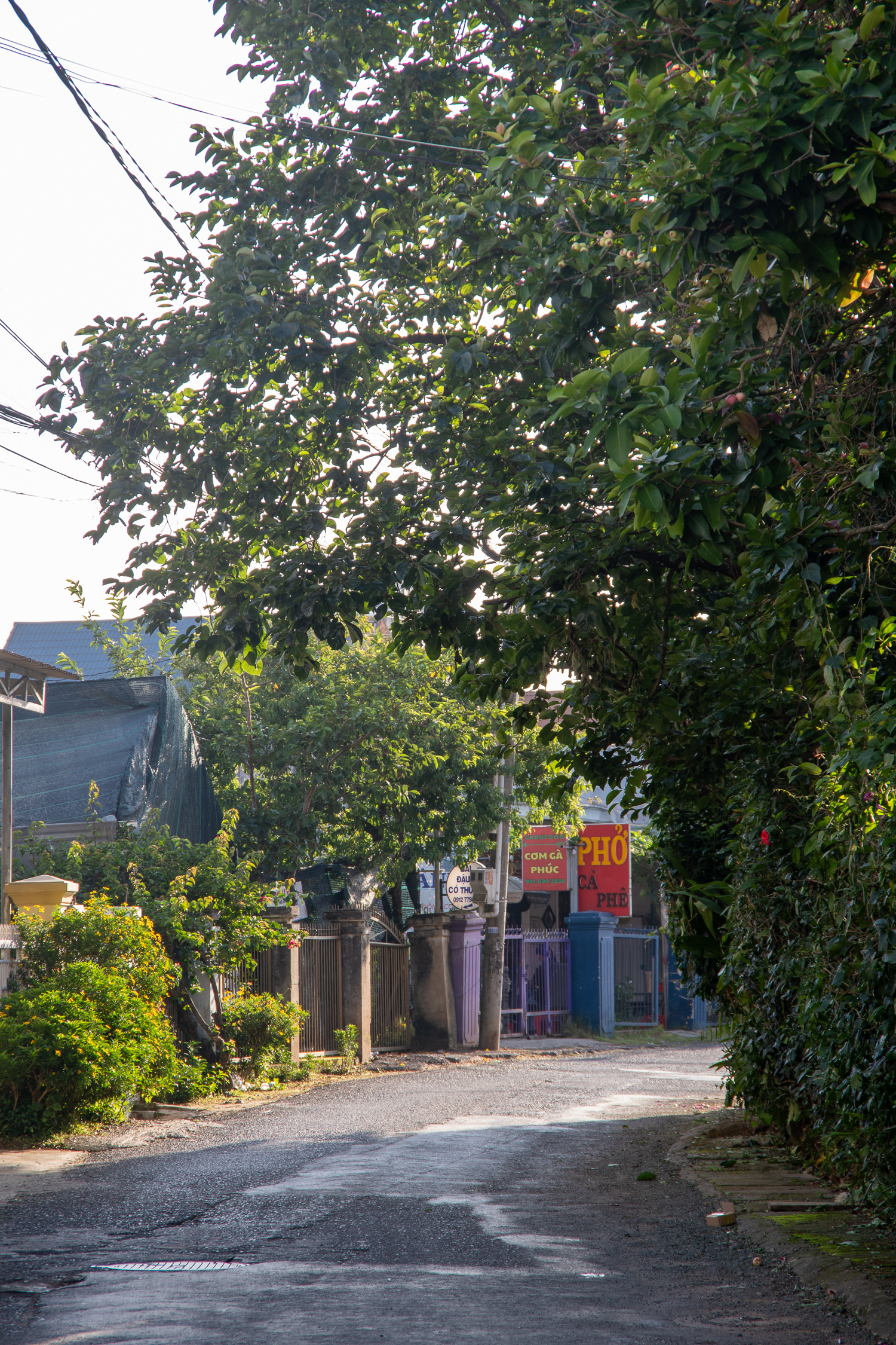 daily-117